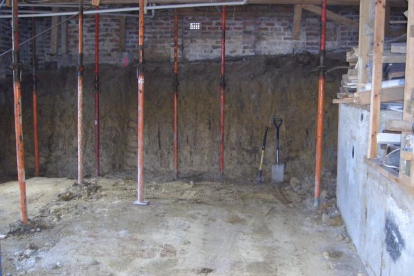Cams Basement Digout 022
